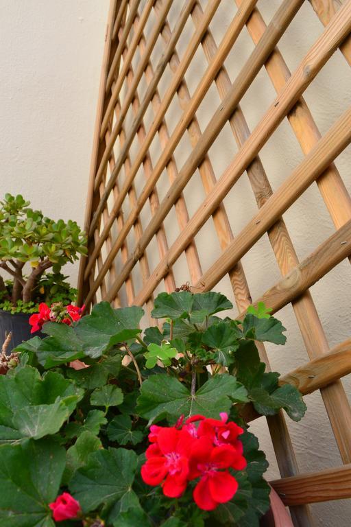 Anatolia Guest House خانيا المظهر الخارجي الصورة